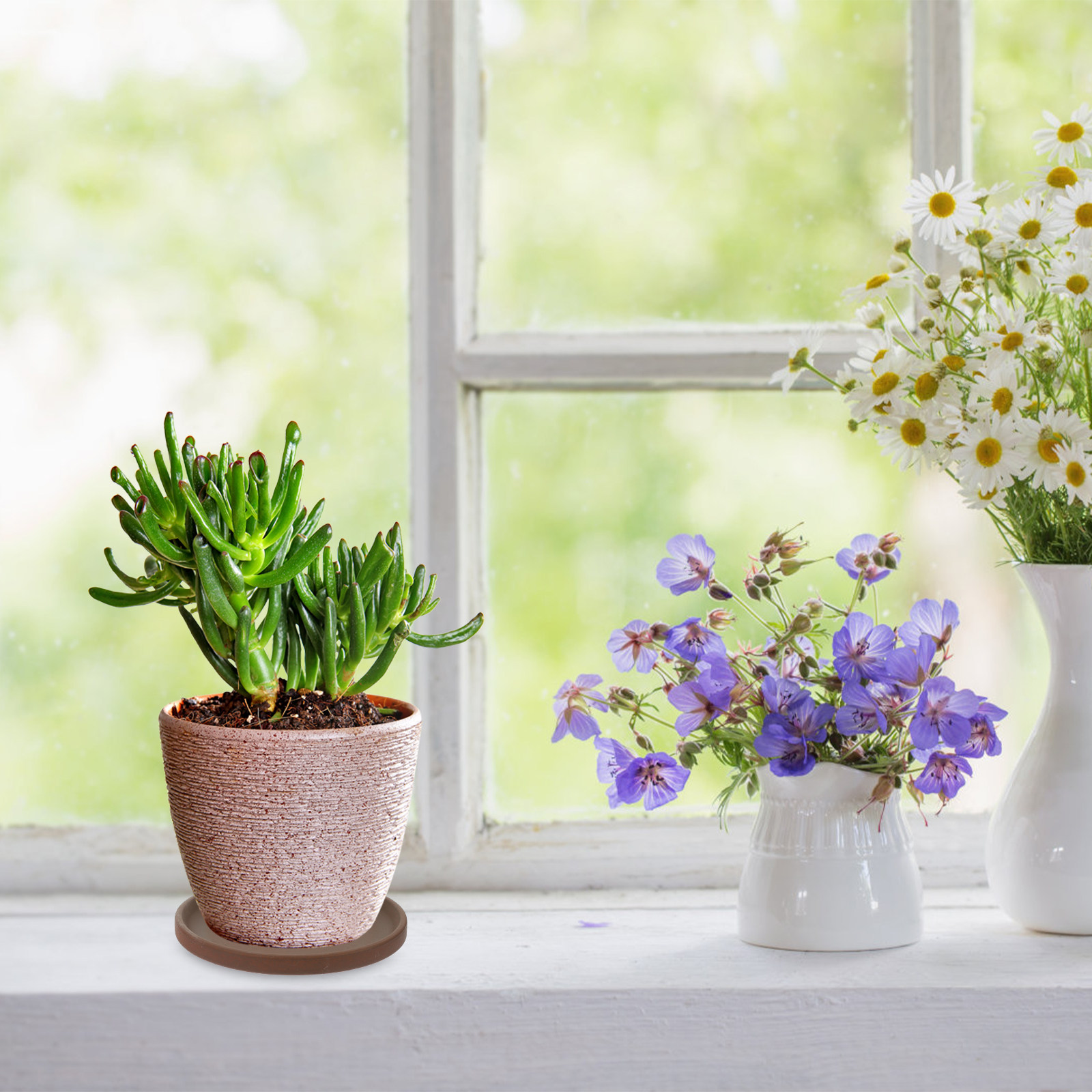 Ceramic Flower Pot Tray Round  - đánh giá và giá Drip Tray Saucer