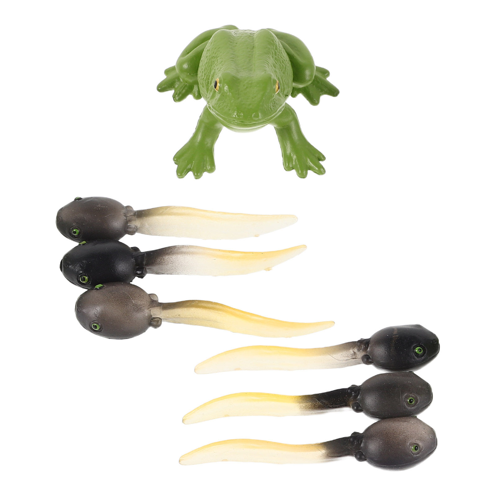 1Set Detailed Mini Frog Statue - đánh giá và giá Bonsai Garden Landscape Design